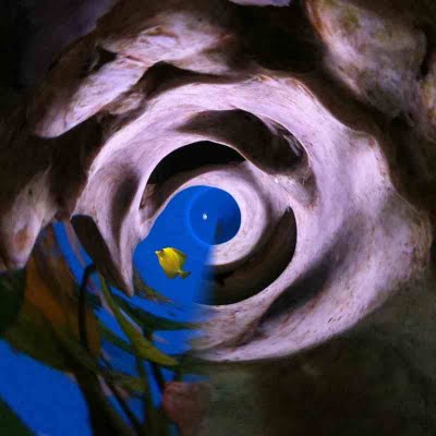 tutorial image