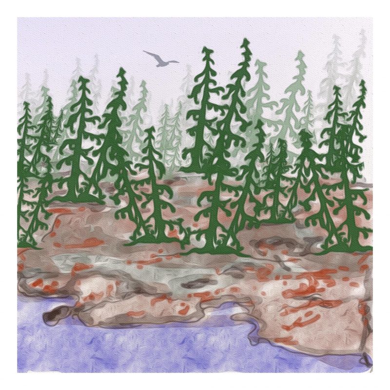 Lesley created the forest in this image with brushes originally drawn in her sketchbook.